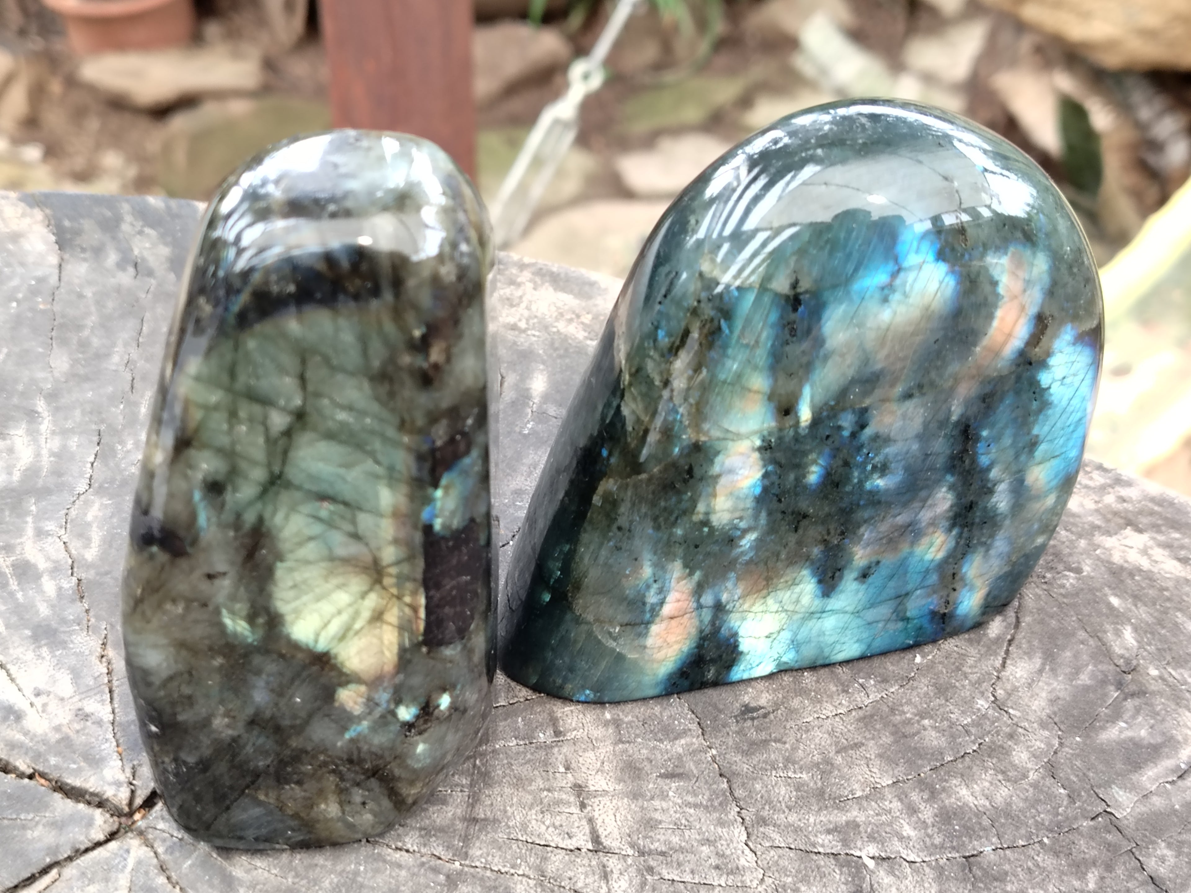 Polished Labradorite Standing Free Forms x 3 From Tulear, Madagascar - Toprock Gemstones and Minerals 