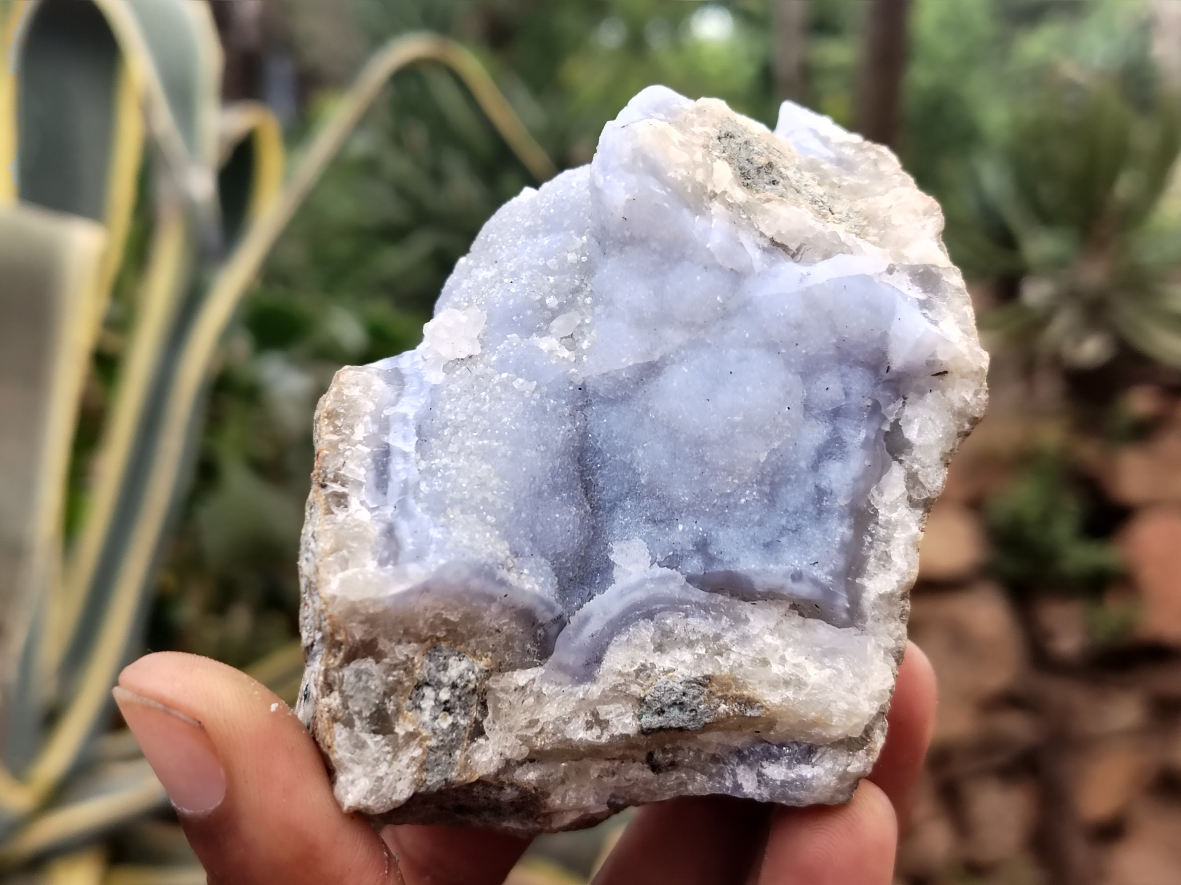 Natural Blue Lace Agate Geode Specimens x 6 From Malawi - Toprock Gemstones and Minerals 