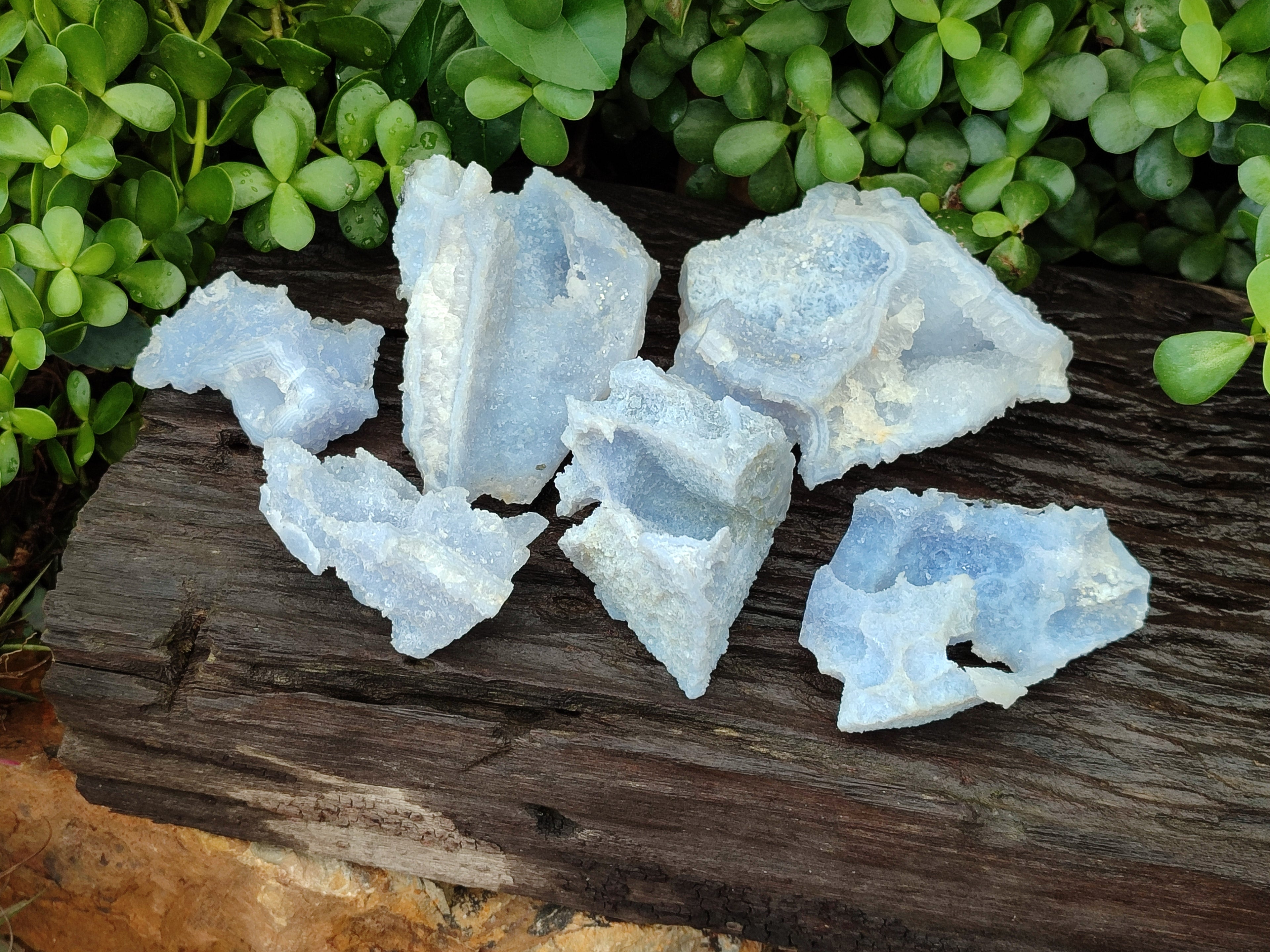 Natural Etched Blue Chalcedony Specimens x 6 From Nsanje, Malawi - Toprock Gemstones and Minerals 