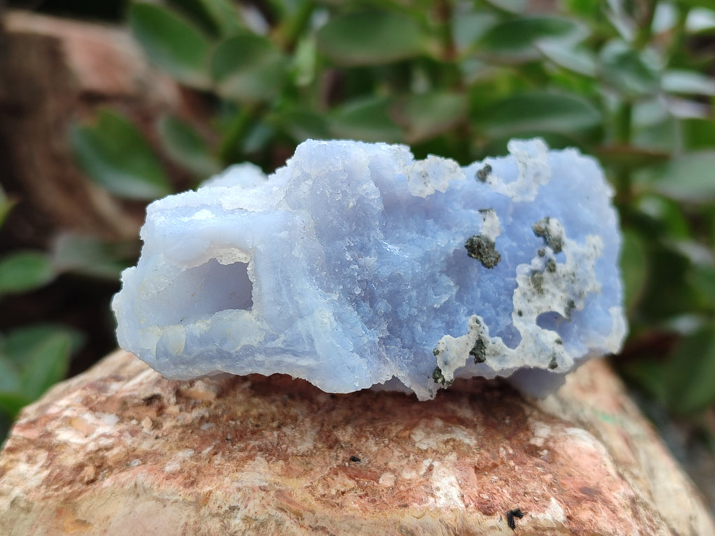Natural Etched Blue Chalcedony Specimens x 6 From Nsanje, Malawi - Toprock Gemstones and Minerals 