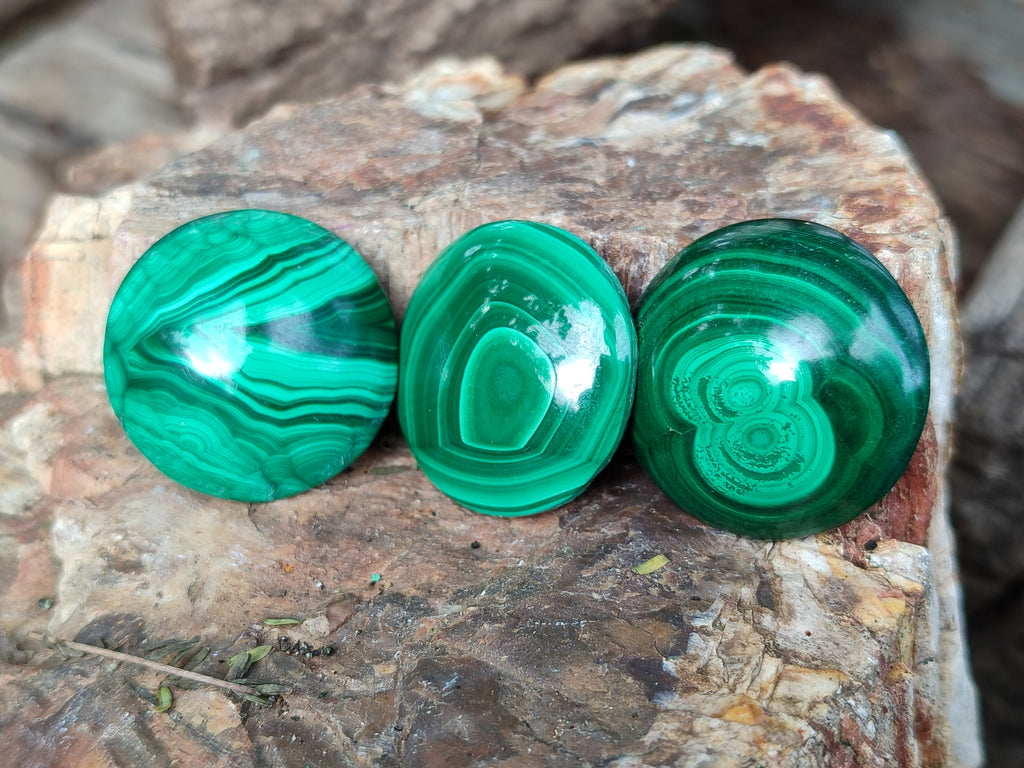 Hand Made Round Flower Banded Malachite Cabochons - Sold Per Item - From Congo - Toprock Gemstones and Minerals 