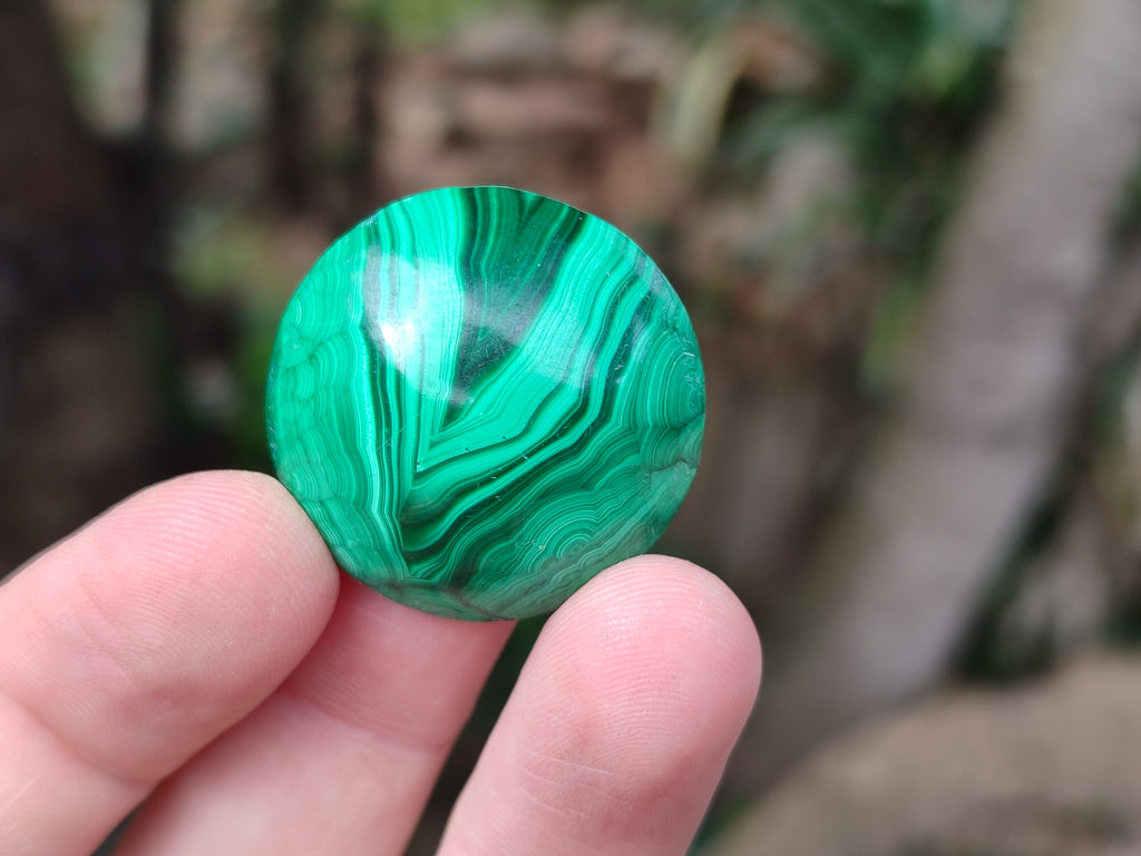 Hand Made Round Flower Banded Malachite Cabochons - Sold Per Item - From Congo - Toprock Gemstones and Minerals 
