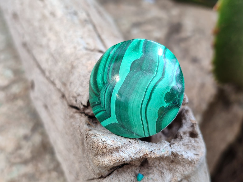 Hand Made Round Flower Banded Malachite Cabochons - Sold Per Item - From Congo - Toprock Gemstones and Minerals 