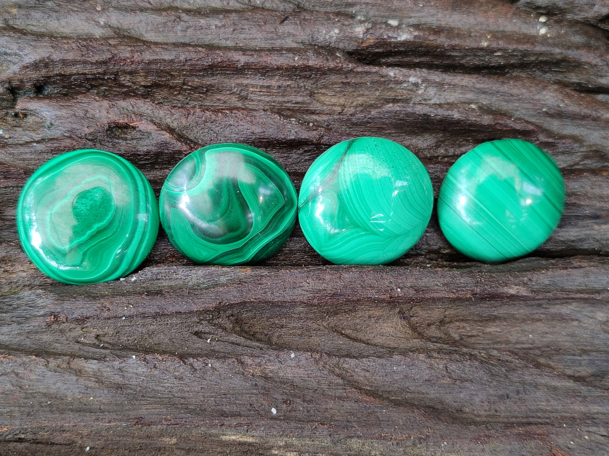 Hand Made Round Flower Banded Malachite Cabochons - Sold Per Item - From Congo - Toprock Gemstones and Minerals 