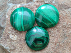 Hand Made Round Flower Banded Malachite Cabochons - Sold Per Item - From Congo - Toprock Gemstones and Minerals 