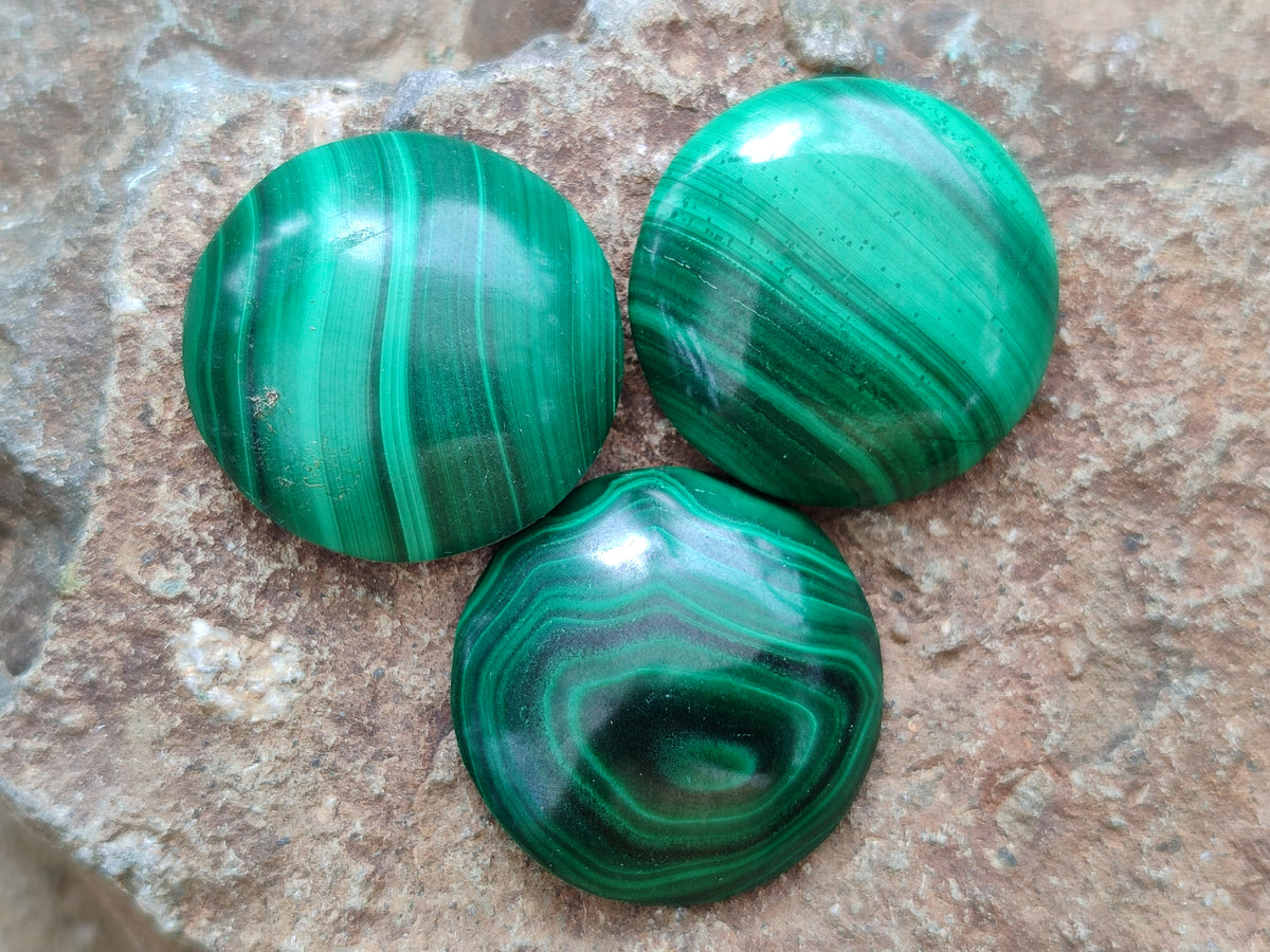 Hand Made Round Flower Banded Malachite Cabochons - Sold Per Item - From Congo - Toprock Gemstones and Minerals 