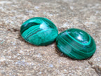 Hand Made Round Flower Banded Malachite Cabochons - Sold Per Item - From Congo - Toprock Gemstones and Minerals 