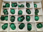 Hand Made Round Flower Banded Malachite Cabochons - Sold Per Item - From Congo - Toprock Gemstones and Minerals 