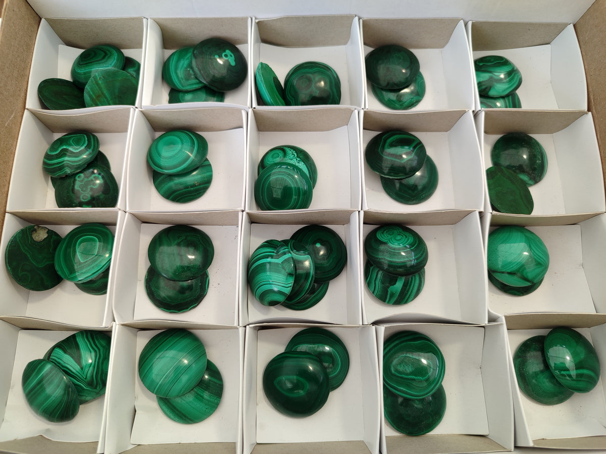 Hand Made Round Flower Banded Malachite Cabochons - Sold Per Item - From Congo - Toprock Gemstones and Minerals 