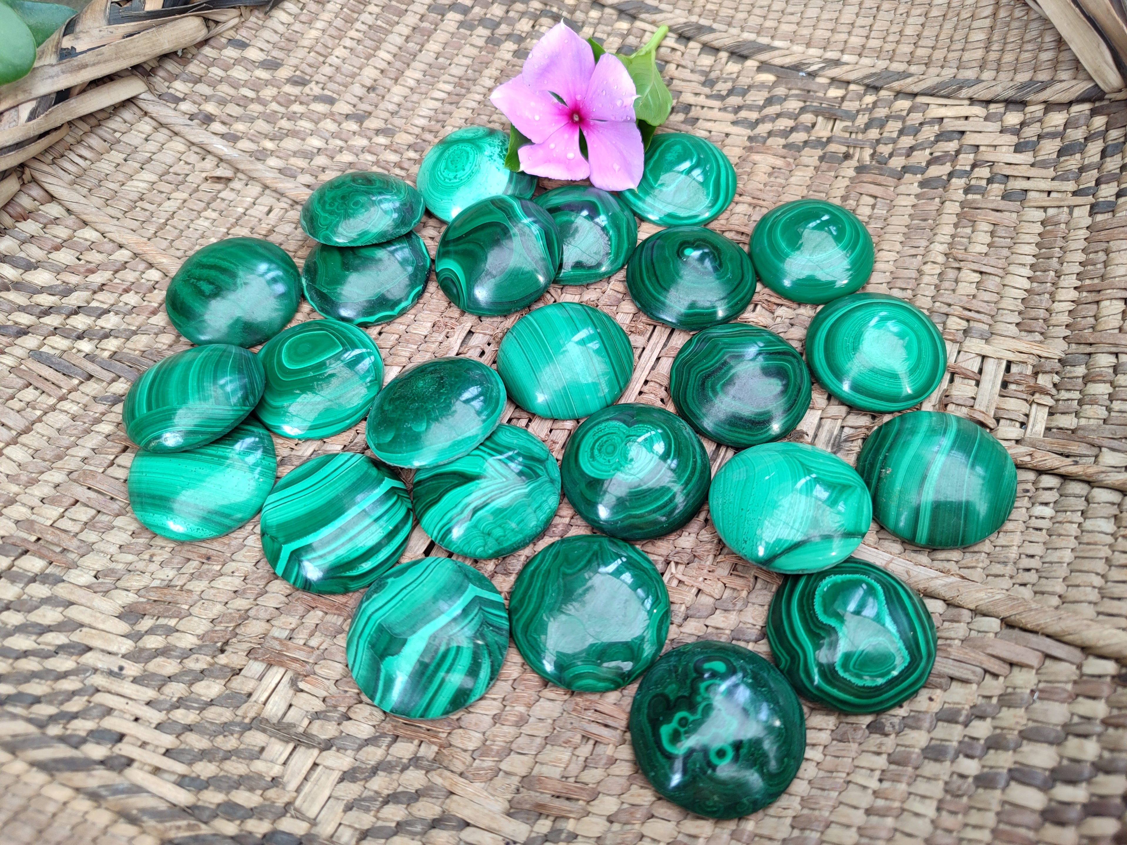 Hand Made Round Flower Banded Malachite Cabochons - Sold Per Item - From Congo - Toprock Gemstones and Minerals 