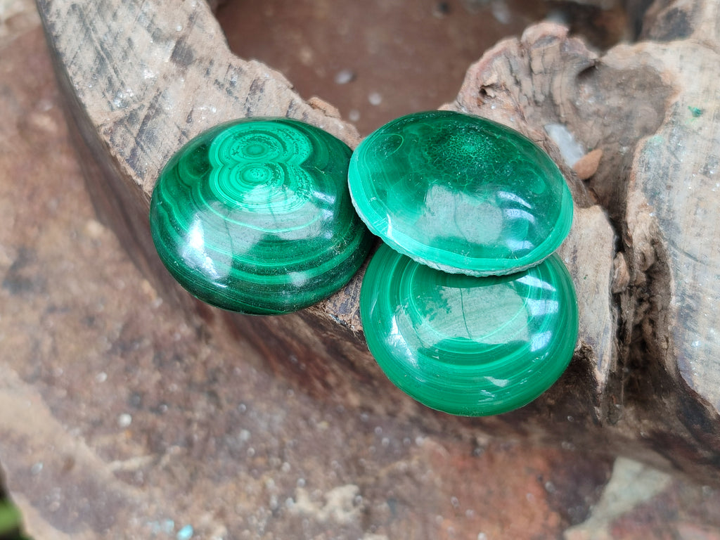 Hand Made Round Flower Banded Malachite Cabochons - Sold Per Item - From Congo - Toprock Gemstones and Minerals 