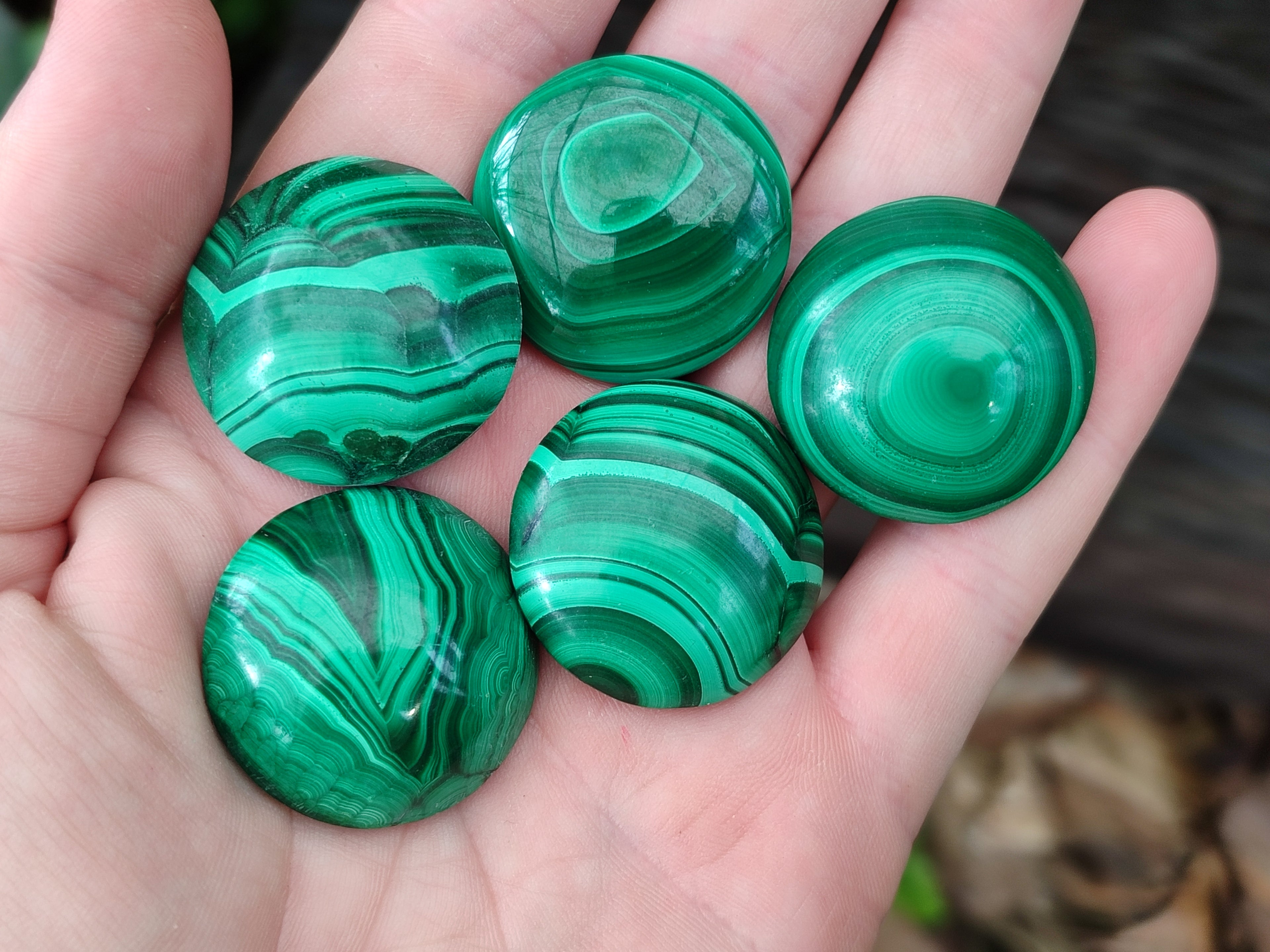 Hand Made Round Flower Banded Malachite Cabochons - Sold Per Item - From Congo - Toprock Gemstones and Minerals 