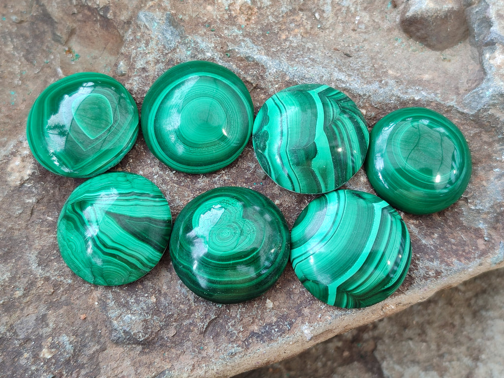 Hand Made Round Flower Banded Malachite Cabochons - Sold Per Item - From Congo - Toprock Gemstones and Minerals 