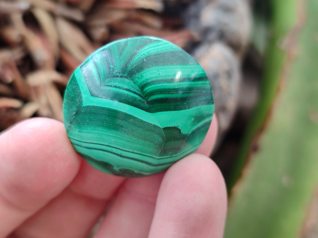 Hand Made Round Flower Banded Malachite Cabochons - Sold Per Item - From Congo - Toprock Gemstones and Minerals 