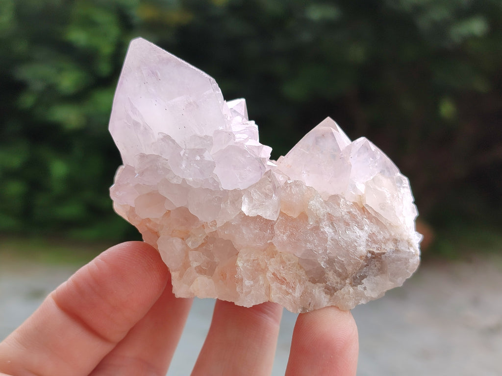 Natural Cactus Spirit Quartz Clusters x 12 From Boekenhouthoek, South Africa - Toprock Gemstones and Minerals 