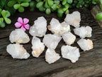 Natural Cactus Spirit Quartz Clusters x 12 From Boekenhouthoek, South Africa - Toprock Gemstones and Minerals 