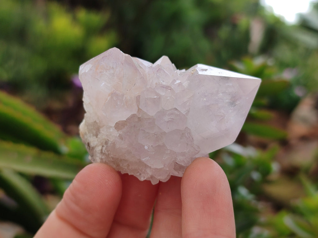 Natural Cactus Spirit Quartz Clusters x 12 From Boekenhouthoek, South Africa - Toprock Gemstones and Minerals 