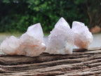 Natural Cactus Spirit Quartz Clusters x 12 From Boekenhouthoek, South Africa - Toprock Gemstones and Minerals 