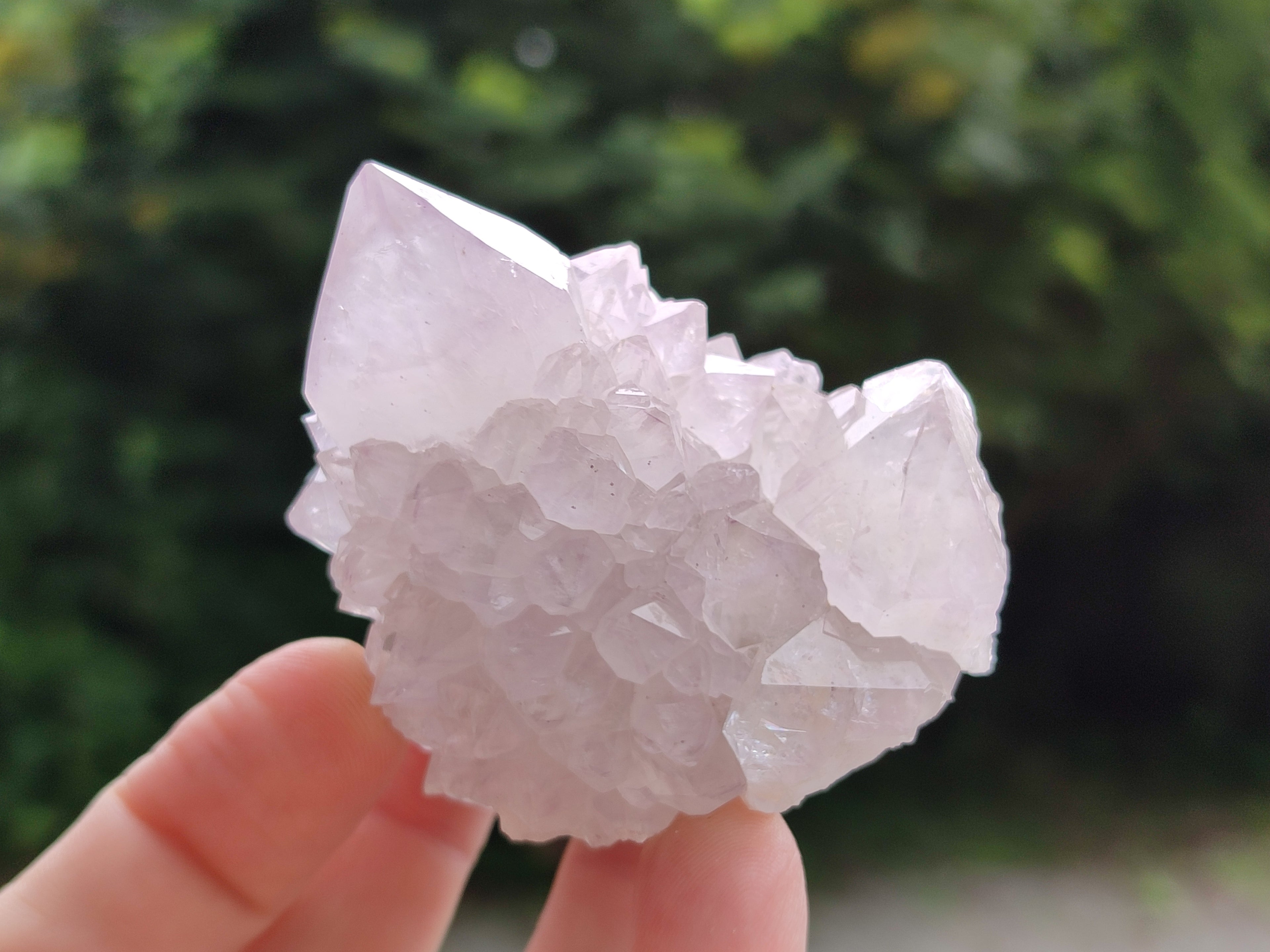 Natural Cactus Spirit Quartz Clusters x 12 From Boekenhouthoek, South Africa - Toprock Gemstones and Minerals 