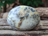 Polished Dendritic Opal Palm Stones x 6 From Moralambo, Madagascar - Toprock Gemstones and Minerals 