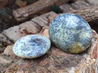 Polished Dendritic Opal Palm Stones x 6 From Moralambo, Madagascar - Toprock Gemstones and Minerals 