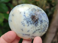 Polished Dendritic Opal Palm Stones x 6 From Moralambo, Madagascar - Toprock Gemstones and Minerals 