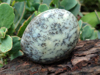 Polished Dendritic Opal Palm Stones x 6 From Moralambo, Madagascar - Toprock Gemstones and Minerals 