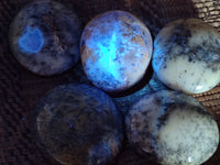 Polished Dendritic Opal Palm Stones x 6 From Moralambo, Madagascar - Toprock Gemstones and Minerals 