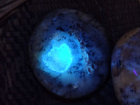 Polished Dendritic Opal Palm Stones x 6 From Moralambo, Madagascar - Toprock Gemstones and Minerals 