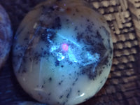 Polished Dendritic Opal Palm Stones x 6 From Moralambo, Madagascar - Toprock Gemstones and Minerals 