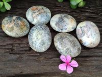 Polished Dendritic Opal Palm Stones x 6 From Moralambo, Madagascar - Toprock Gemstones and Minerals 