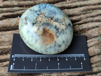 Polished Dendritic Opal Palm Stones x 6 From Moralambo, Madagascar - Toprock Gemstones and Minerals 