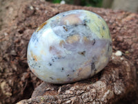 Polished Dendritic Opal Palm Stones x 6 From Moralambo, Madagascar - Toprock Gemstones and Minerals 