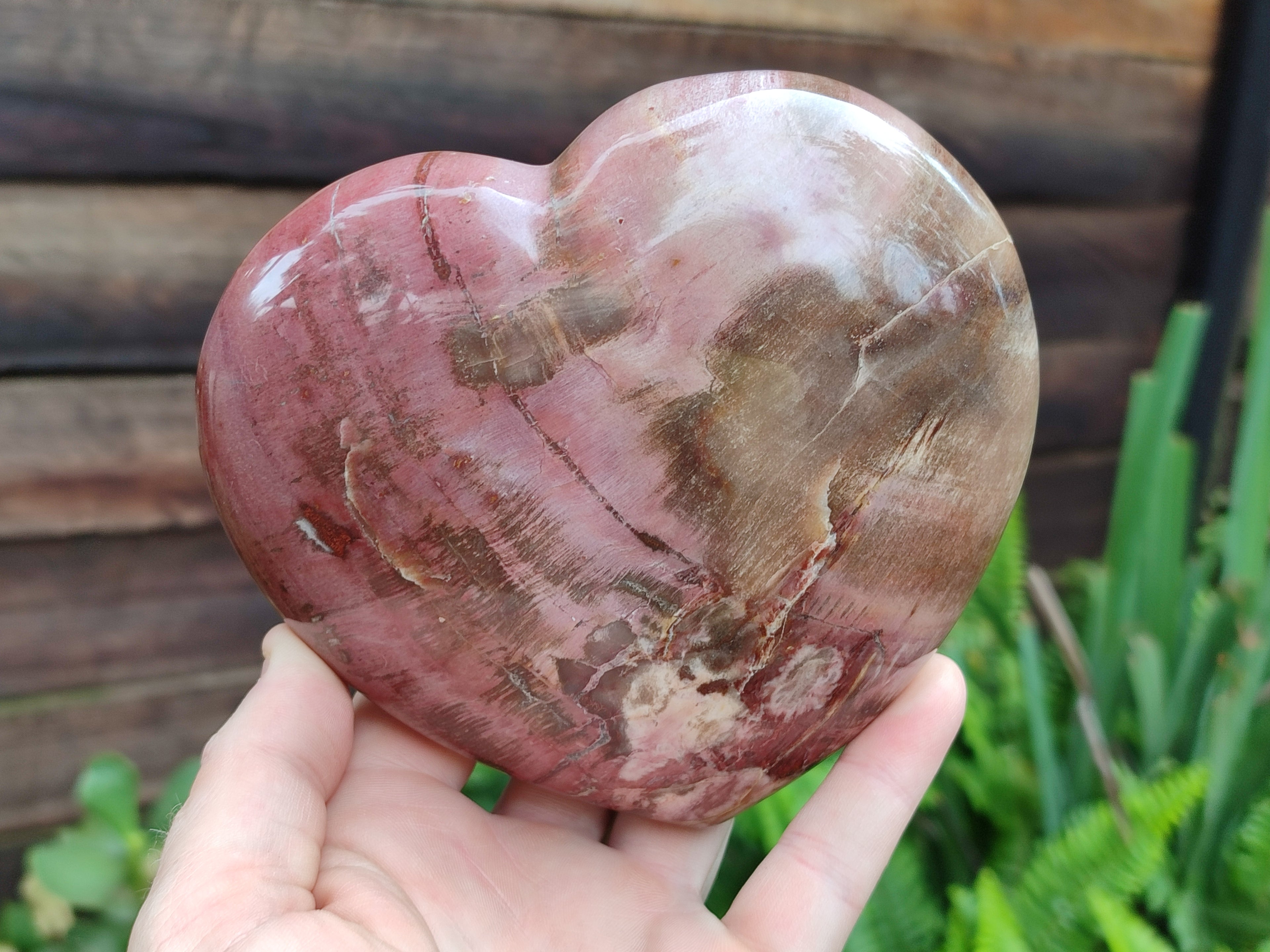 Polished Podocarpus Petrified Wood Heart x 1 From Mahajanga, Madagascar - Toprock Gemstones and Minerals 