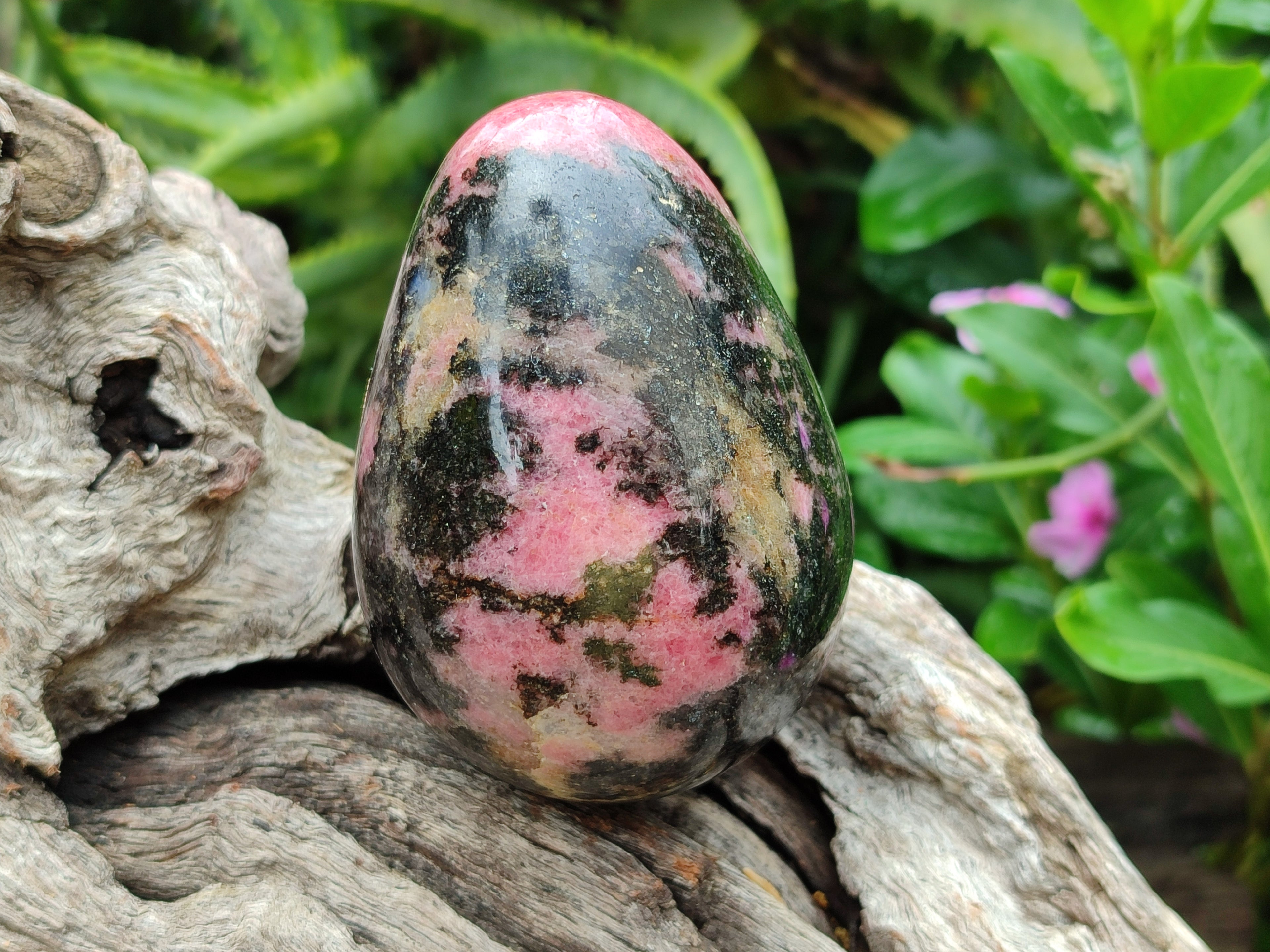 Polished Rhodonite Eggs x 4 From Madagascar - Toprock Gemstones and Minerals 