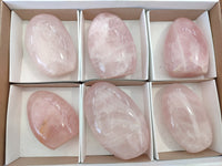 Polished Rose Quartz Standing Free Forms x 6 From Madagascar - Toprock Gemstones and Minerals 
