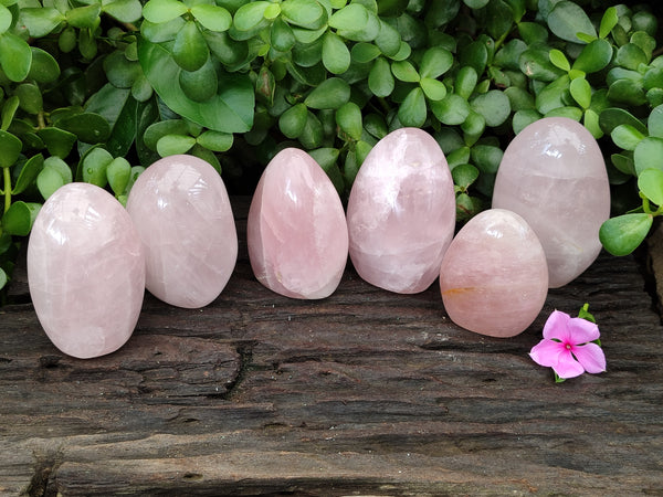 Polished Rose Quartz Standing Free Forms x 6 From Madagascar - Toprock Gemstones and Minerals 
