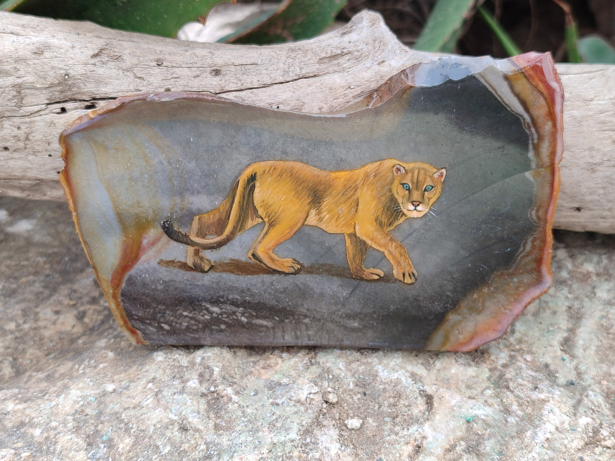 Hand Made Lioness Decoupage Stone Slabs x 3 From Southern Africa - Toprock Gemstones and Minerals 