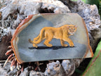 Hand Made Lioness Decoupage Stone Slabs x 3 From Southern Africa - Toprock Gemstones and Minerals 
