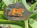Hand Made Lioness Decoupage Stone Slabs x 3 From Southern Africa - Toprock Gemstones and Minerals 