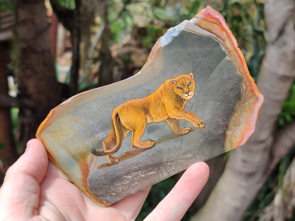 Hand Made Lioness Decoupage Stone Slabs x 3 From Southern Africa - Toprock Gemstones and Minerals 