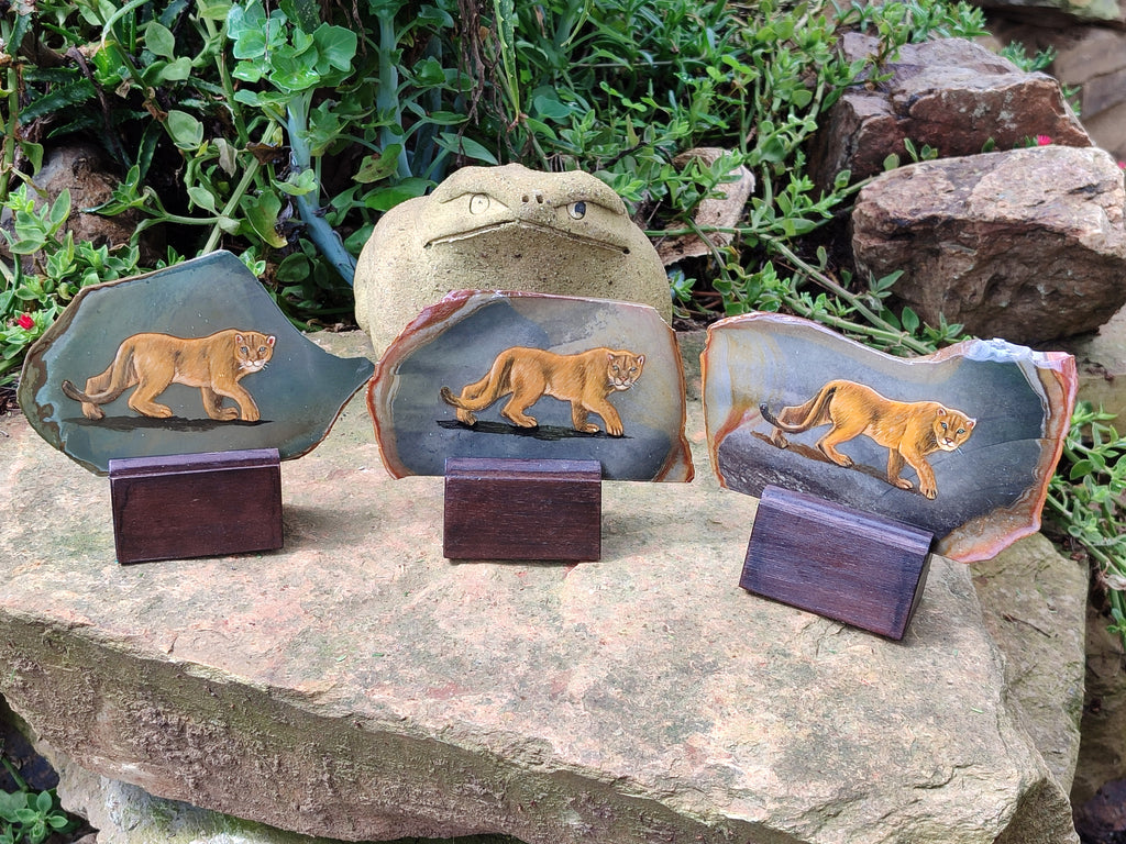Hand Made Lioness Decoupage Stone Slabs x 3 From Southern Africa - Toprock Gemstones and Minerals 