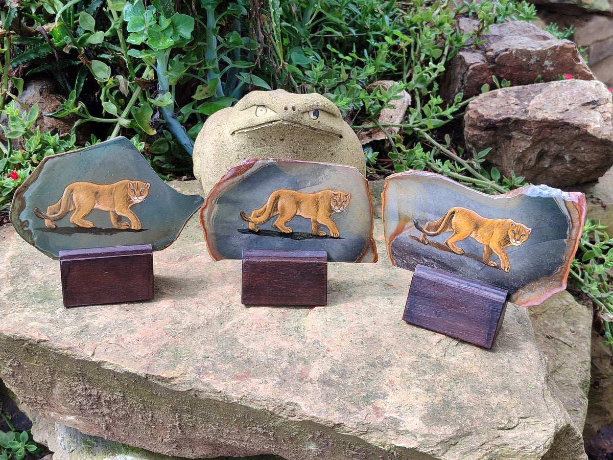 Hand Made Lioness Decoupage Stone Slabs x 3 From Southern Africa - Toprock Gemstones and Minerals 