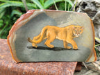 Hand Made Lioness Decoupage Stone Slabs x 3 From Southern Africa - Toprock Gemstones and Minerals 