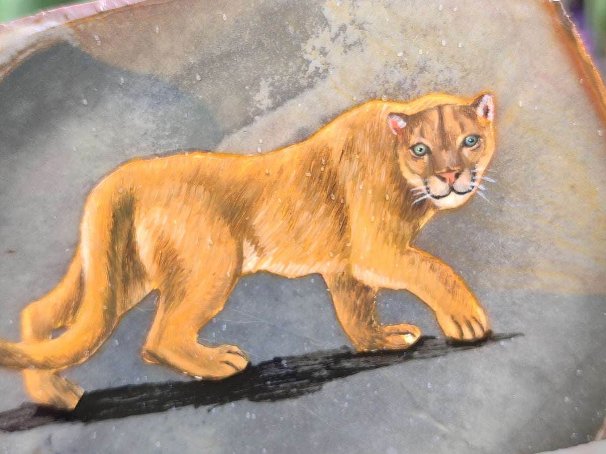 Hand Made Lioness Decoupage Stone Slabs x 3 From Southern Africa - Toprock Gemstones and Minerals 
