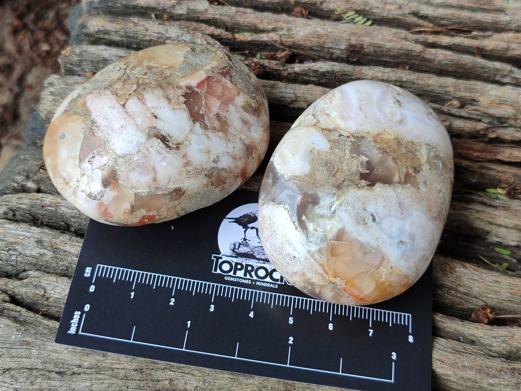 Polished Flower Agate Palm Stones x 12 From Madagascar - Toprock Gemstones and Minerals 