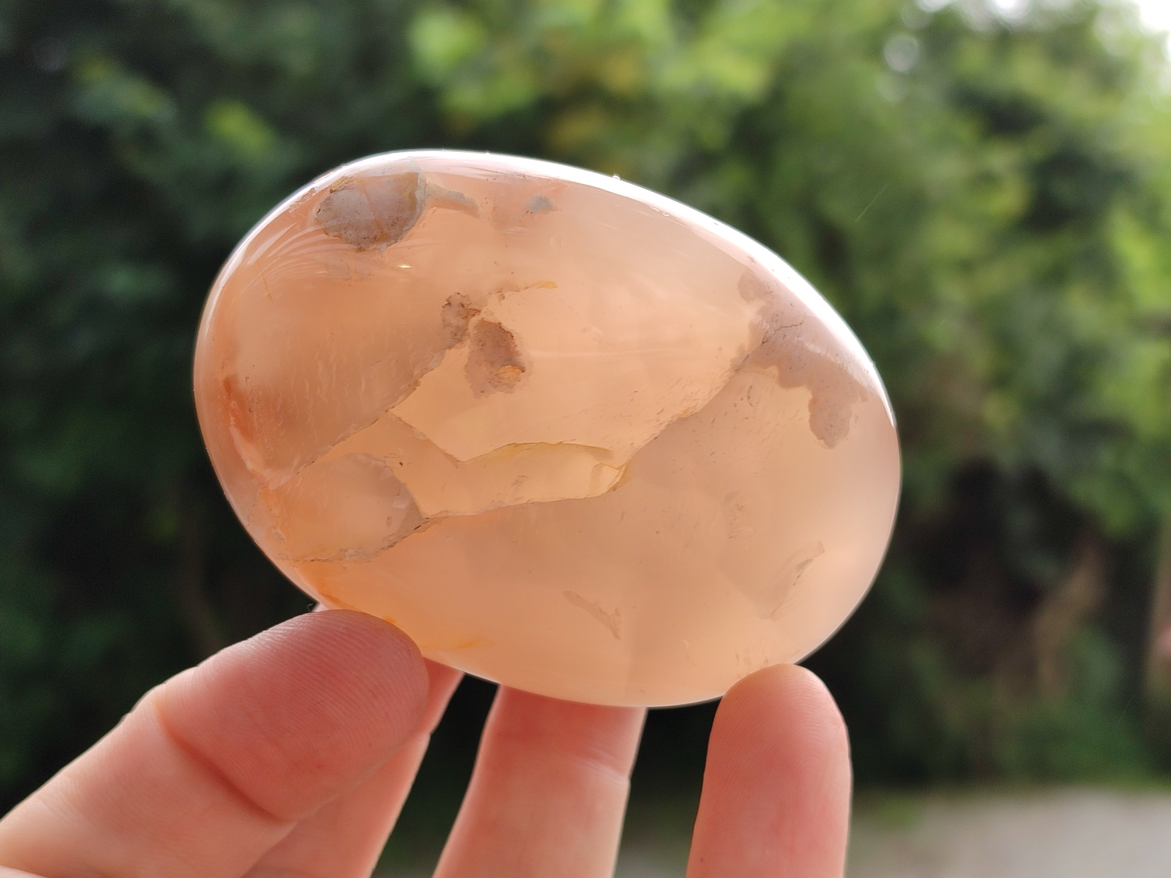Polished Flower Agate Palm Stones x 12 From Madagascar - Toprock Gemstones and Minerals 