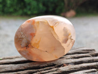 Polished Flower Agate Palm Stones x 12 From Madagascar - Toprock Gemstones and Minerals 