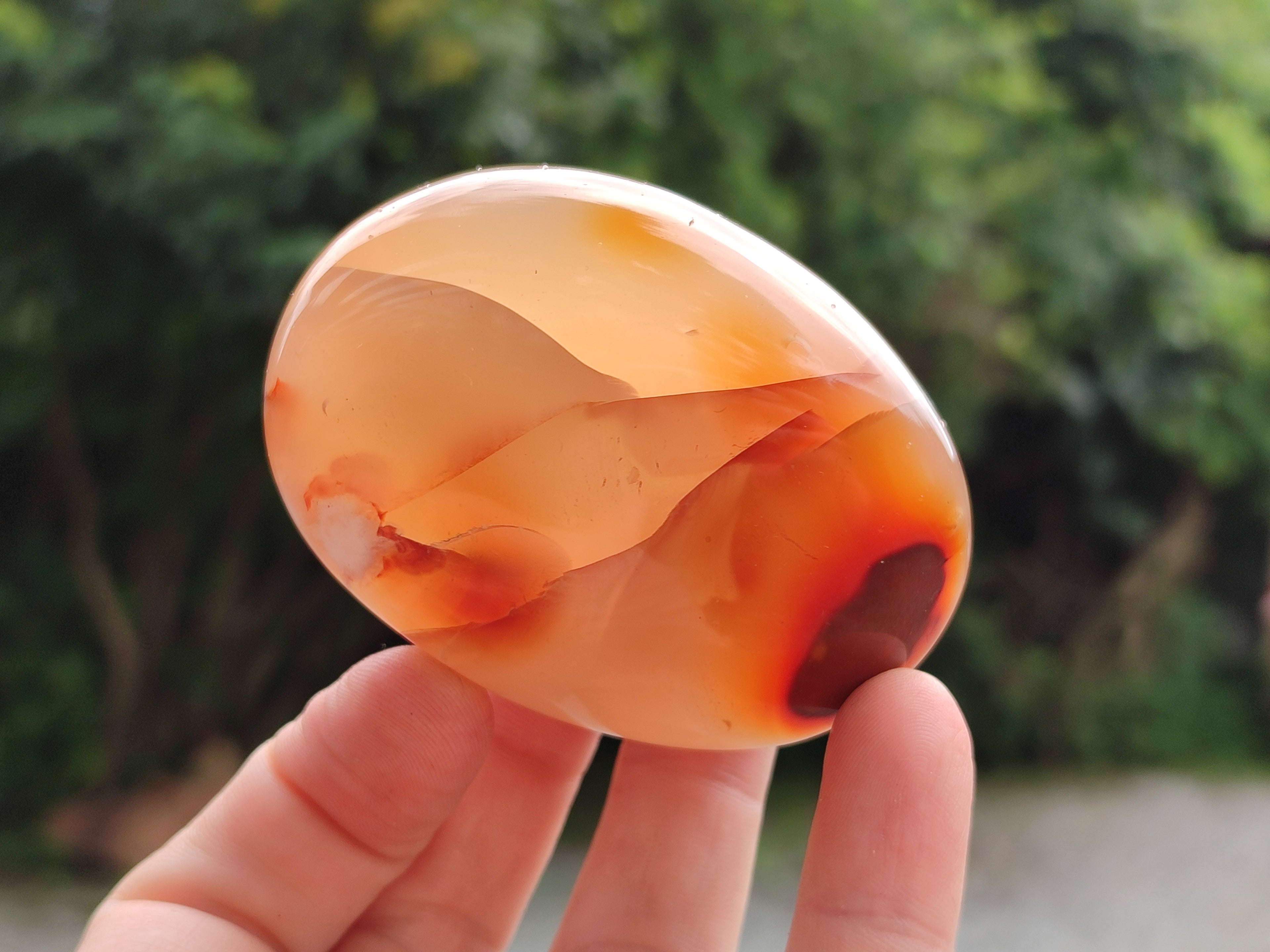 Polished Flower Agate Palm Stones x 12 From Madagascar - Toprock Gemstones and Minerals 