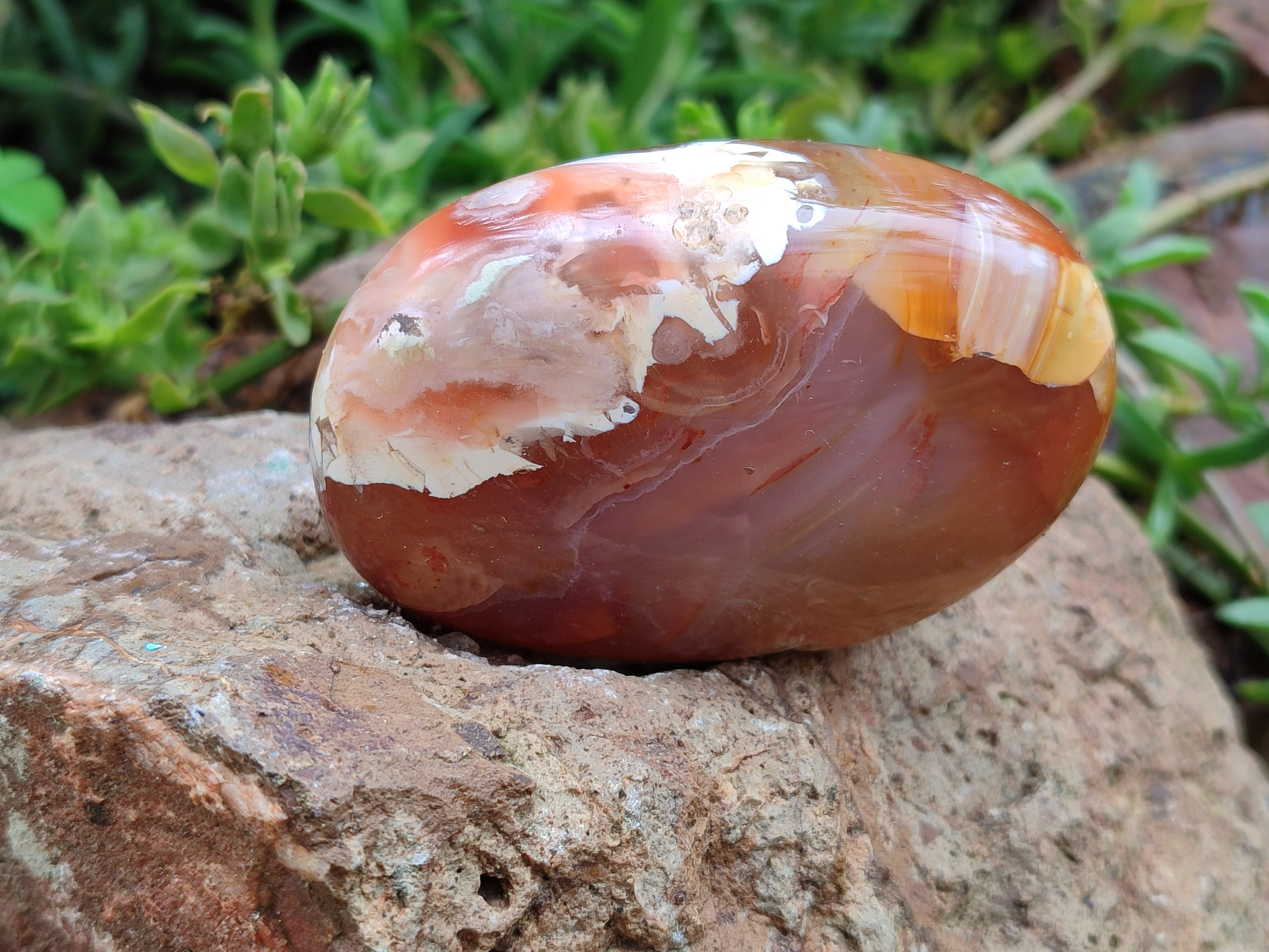 Polished Flower Agate Palm Stones x 12 From Madagascar - Toprock Gemstones and Minerals 